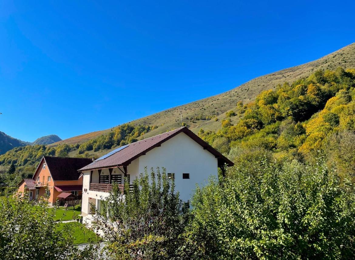 Hotel Pensiunea An De An Remeţi Zewnętrze zdjęcie